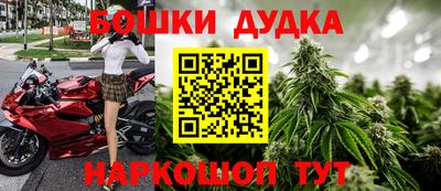 твердый Новодвинск