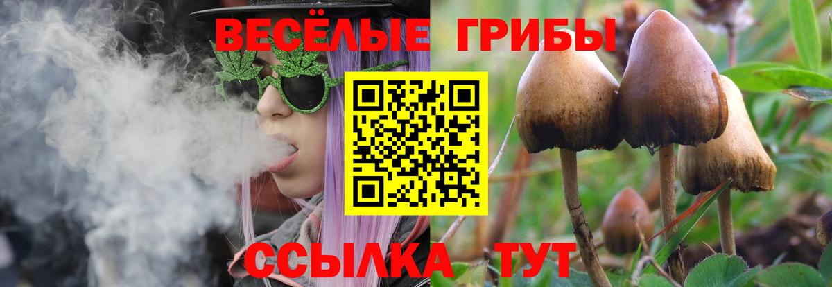 где продают   Псилоцибиновые грибы мицелий  Вход с VPN  Сургут 